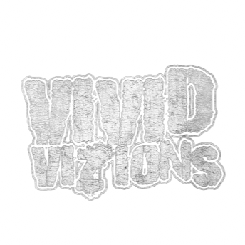 VIVIDVIZIONS